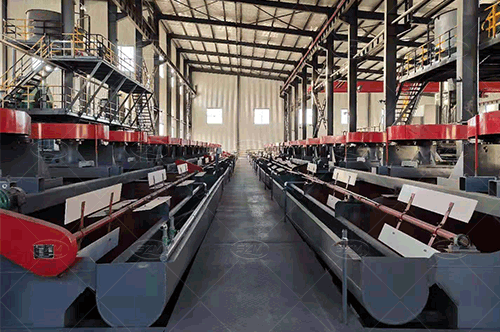 Gold Flotation Production Line